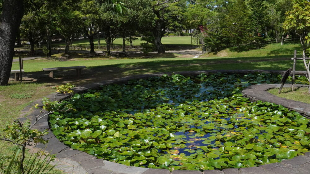 延岡植物園に行ってきました