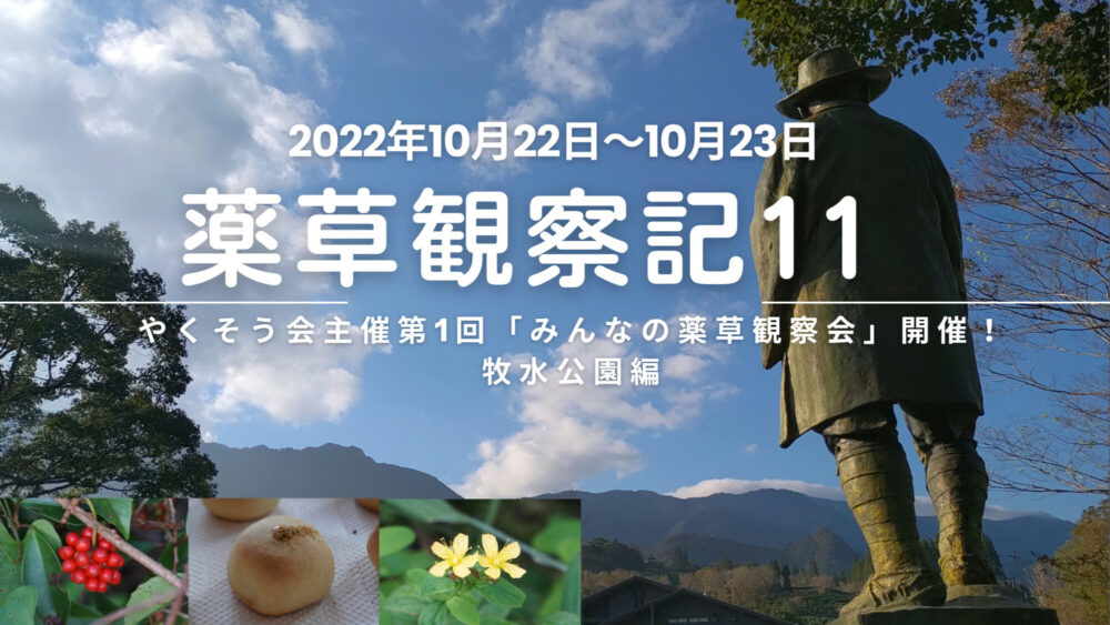 薬草観察記11  やくそう会主催第１回「みんなの薬草観察会」開催！　　　　　牧水公園編