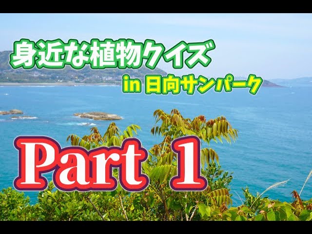 YouTube動画「身近な植物クイズin日向サンパークPart1」公開しました