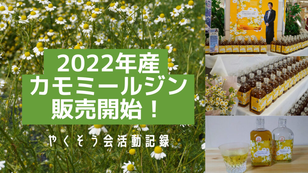 日向市東郷2022年産「カモミールジン」販売開始！