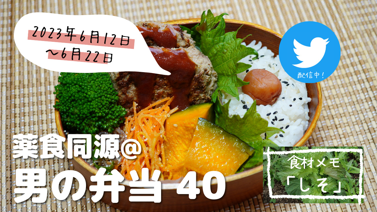 【薬食同源】男の弁当40｜「シソ」夏の健康管理におすすめ！