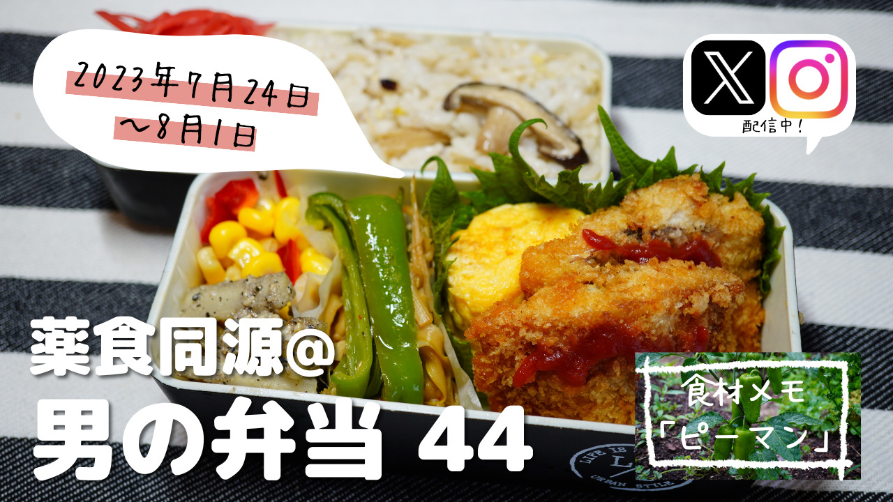 【薬食同源】男の弁当44｜「ピーマン」栄養満点！夏野菜の優等生