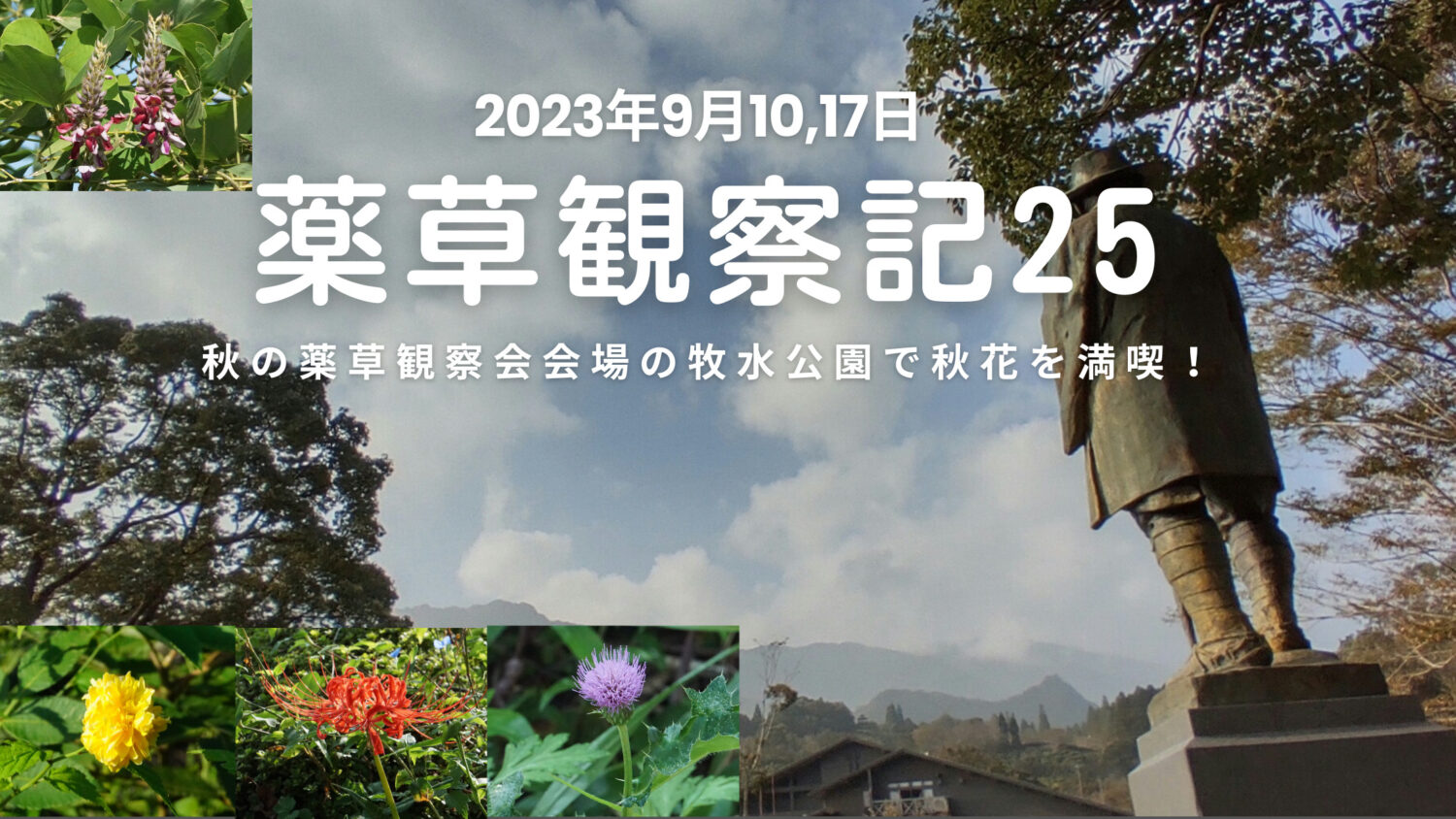 薬草観察記25｜秋の薬草観察会会場 牧水公園内を観察