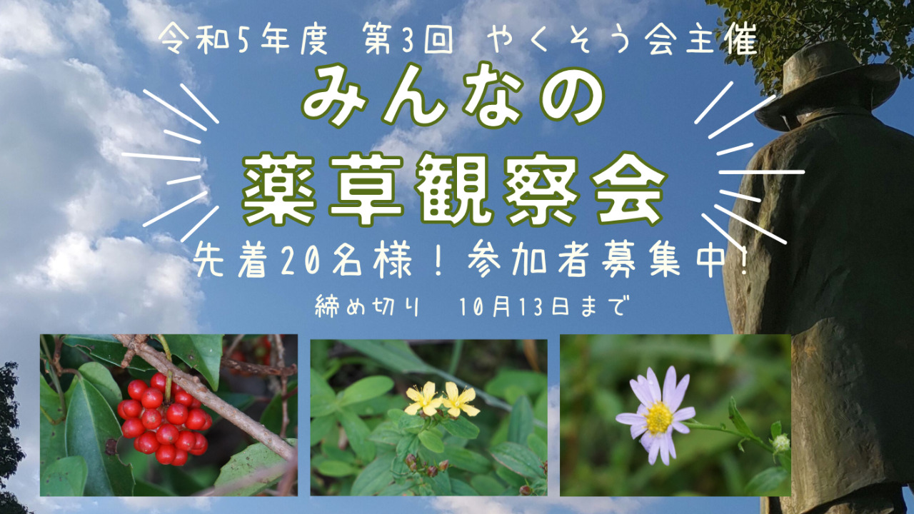 「みんなの薬草観察会」FMひゅうがで告知♪