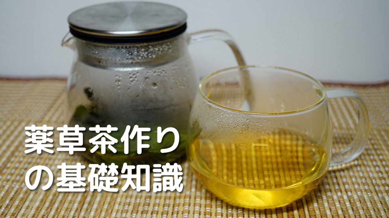 薬草茶作りの基礎知識④飲み方