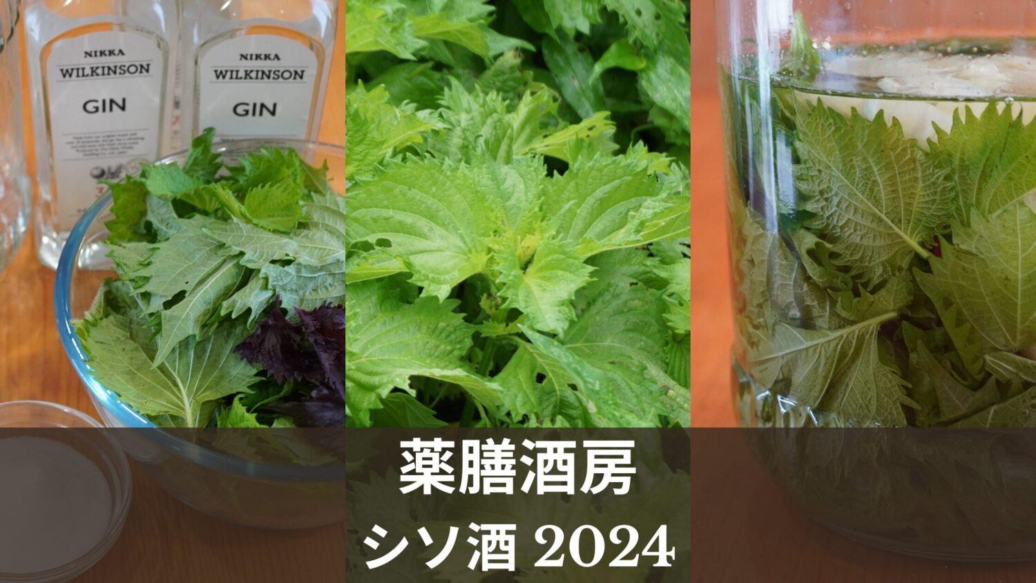 薬膳酒房｜シソ酒｜さわやかなシソの香り！梅シロップとのブレンドも美味