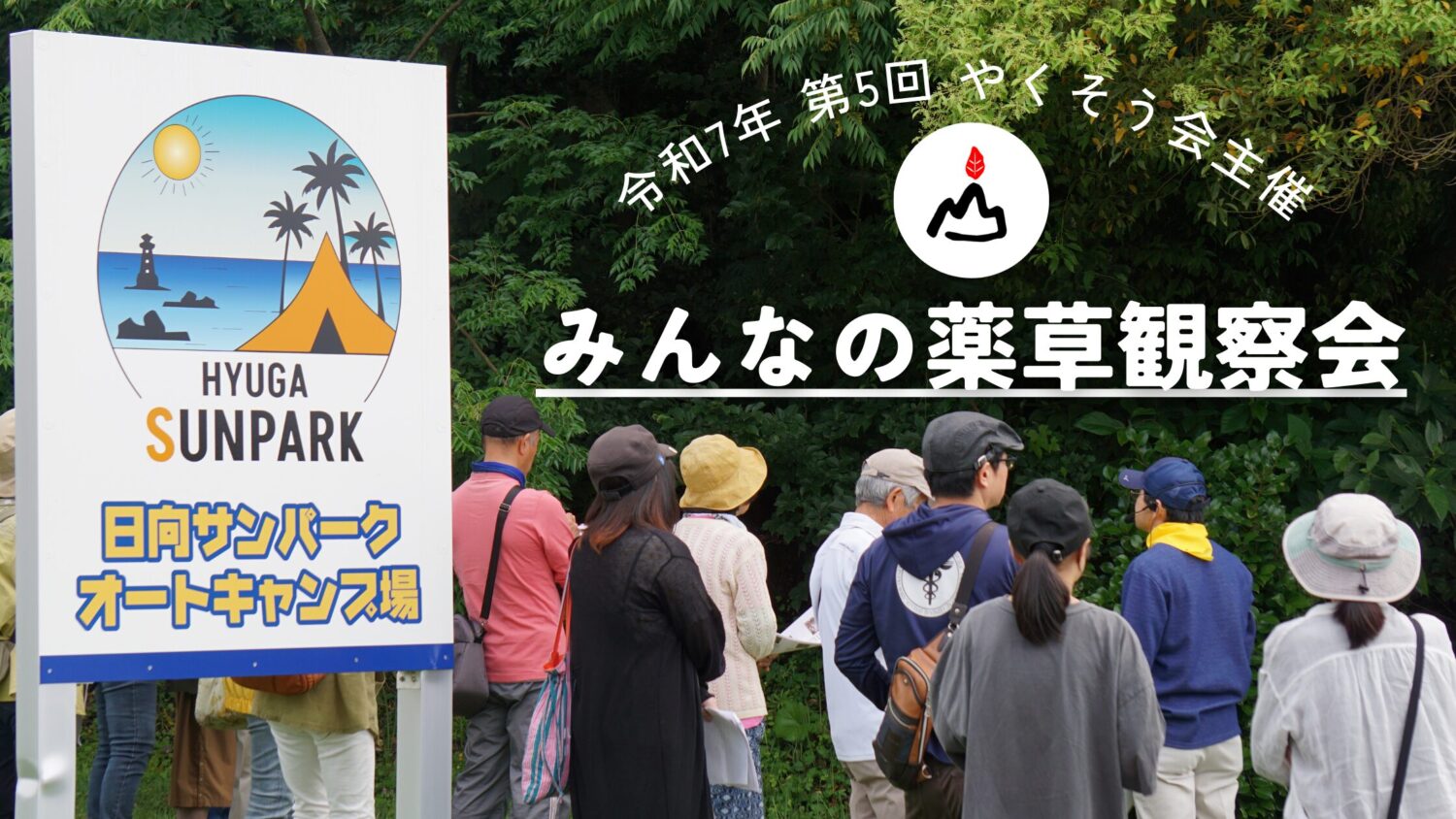第5回みんなの薬草観察会 振り返り